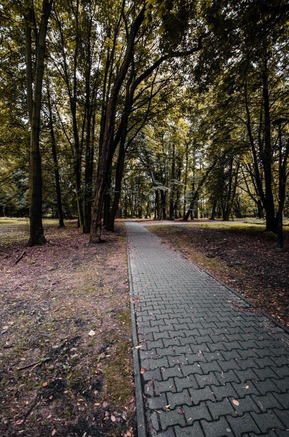 Apartament Deluxe Arcon Siemianowice Śląskie 외부 사진